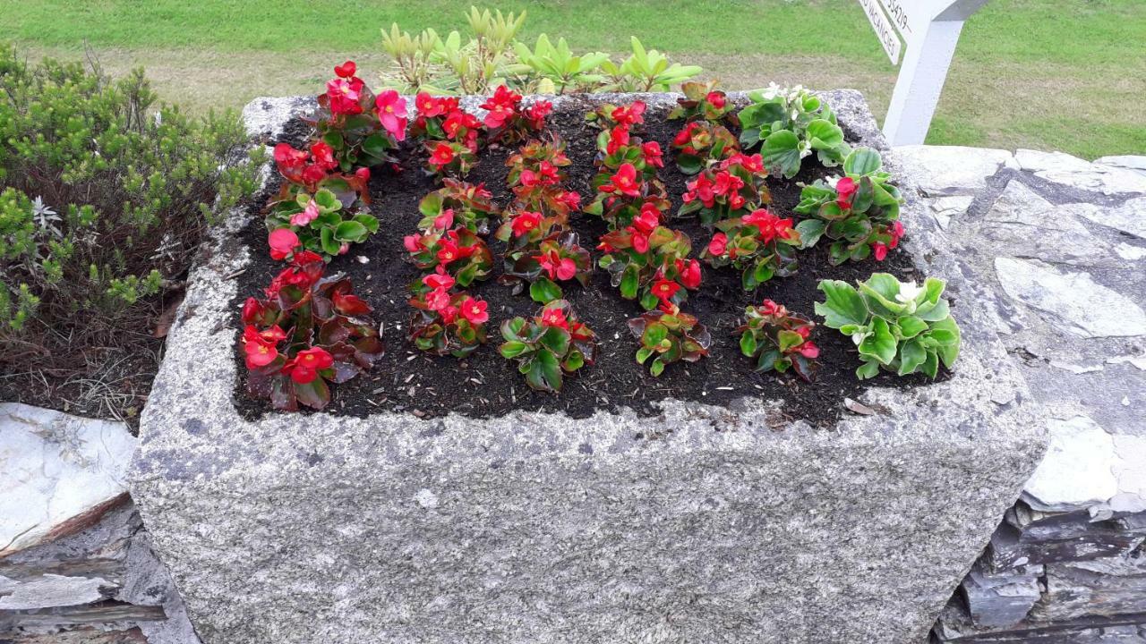 Melorne Farm Bed & Breakfast Camelford Exterior foto