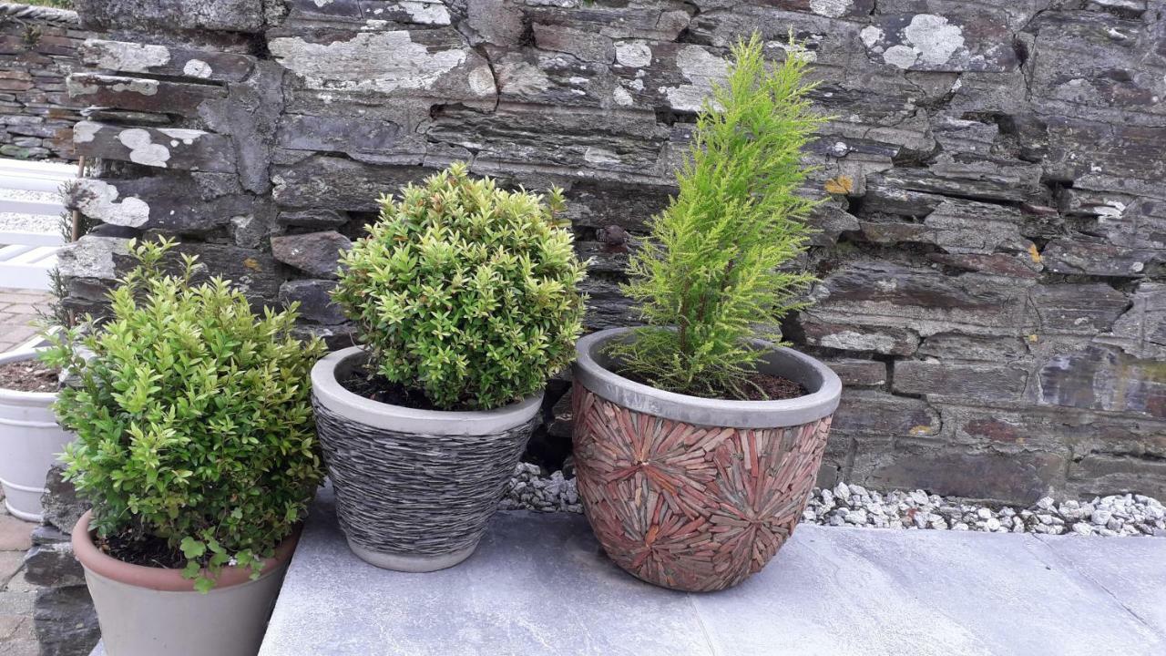 Melorne Farm Bed & Breakfast Camelford Exterior foto